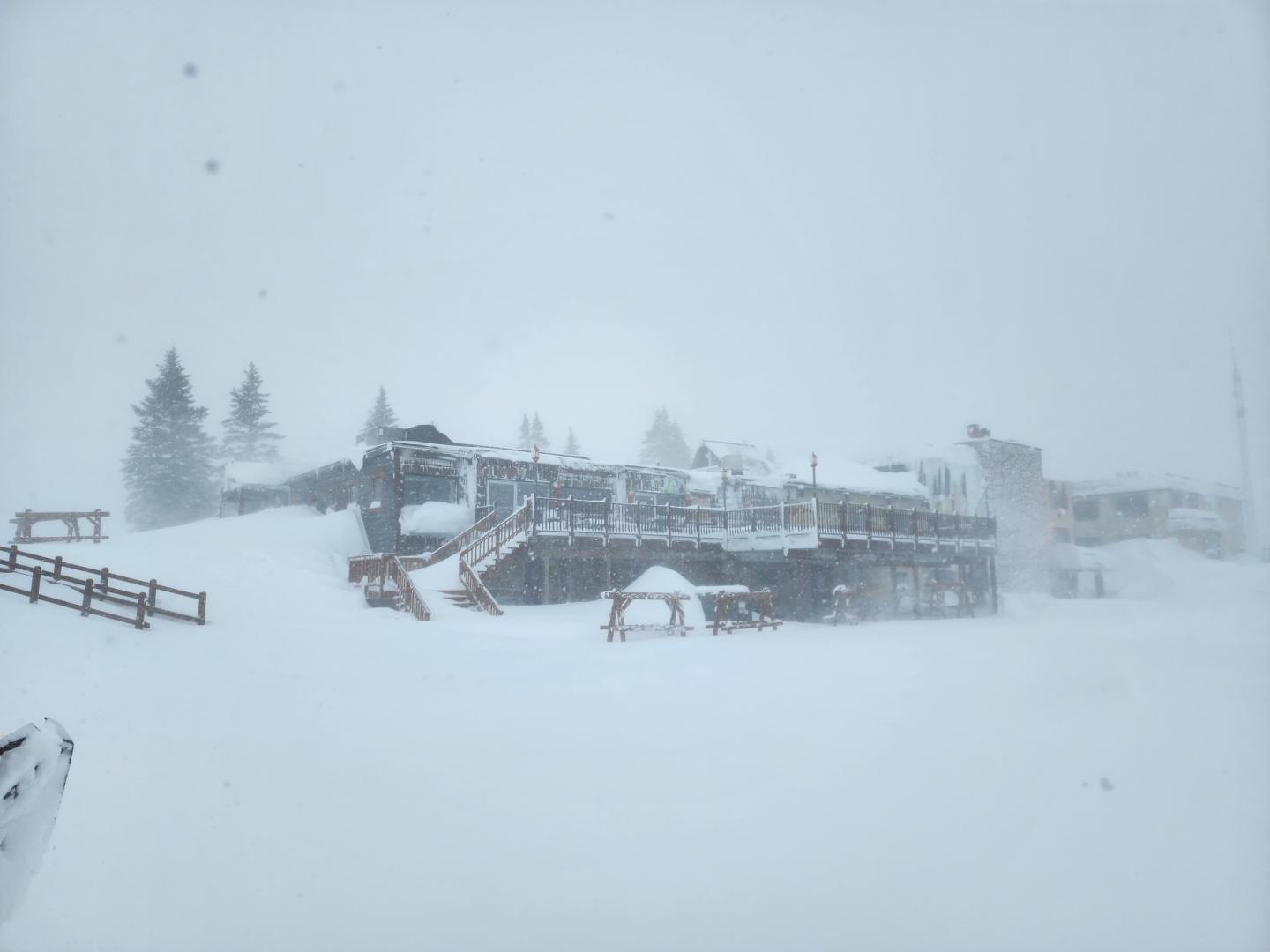 blizzard