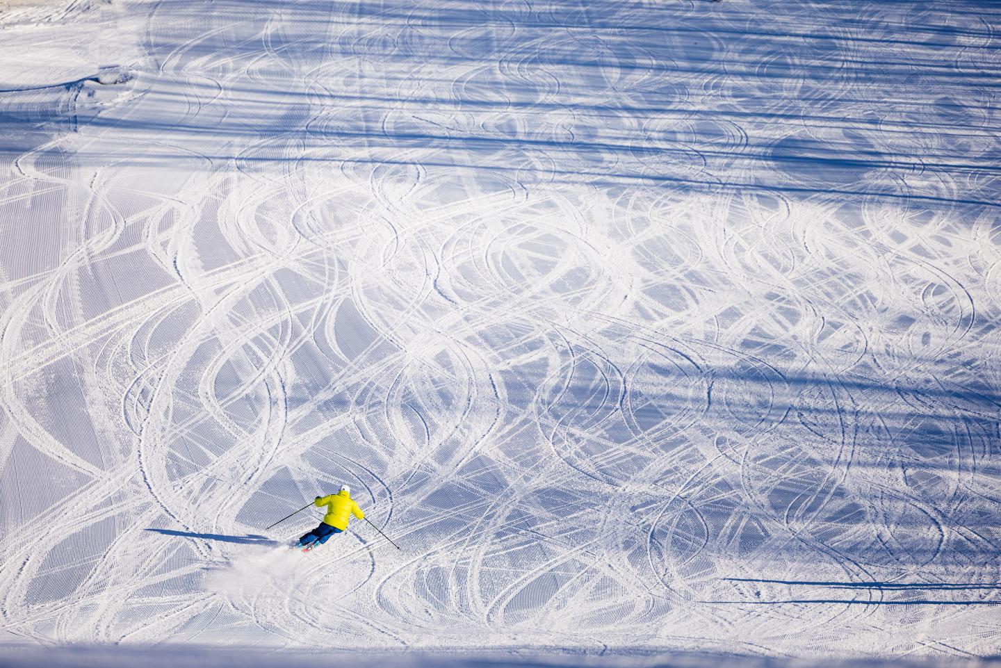 Lone Skier