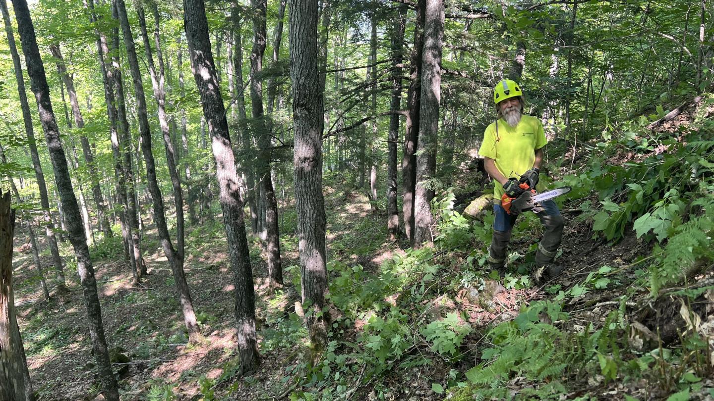 Employee standing with chainsaw above a newly cleared glade.