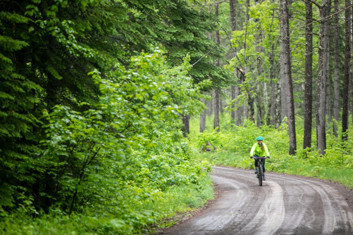 Cyclist in bright gear rides through lush green forest on a dirt path.