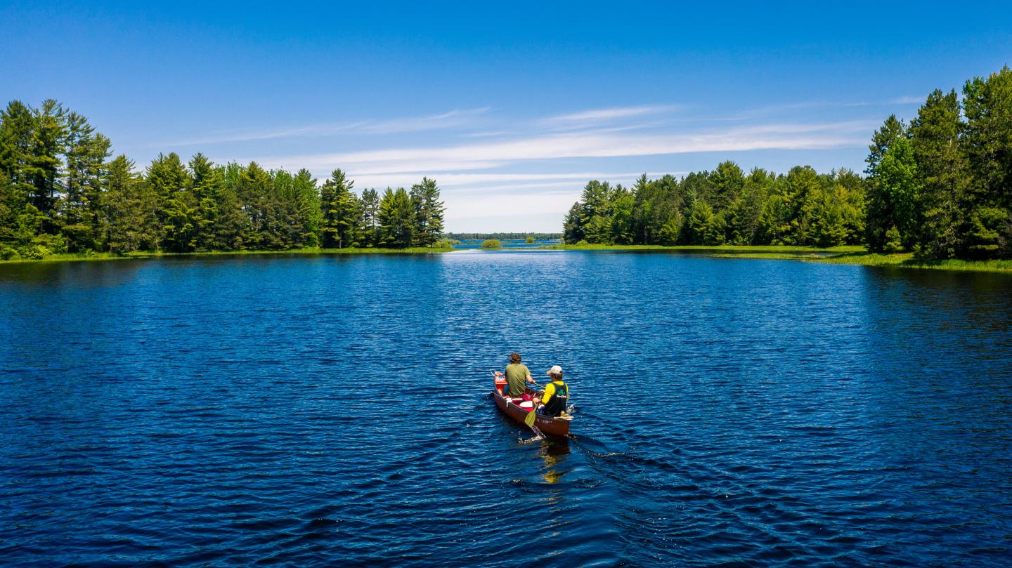 Canoe on a serene lake surrounded by lush green trees under a blue sky.
