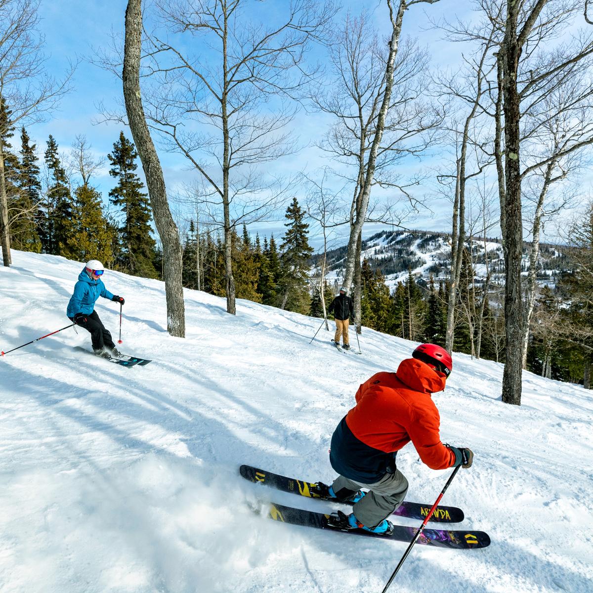Skiers descending a snowy slope with trees and mountains in the background.