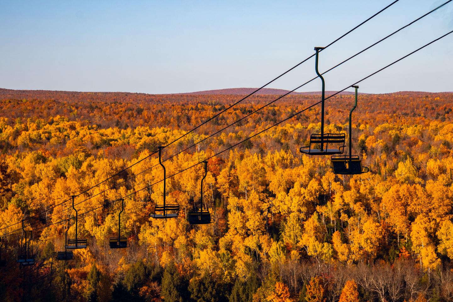 Ski lift over a forest of vibrant orange autumn trees.