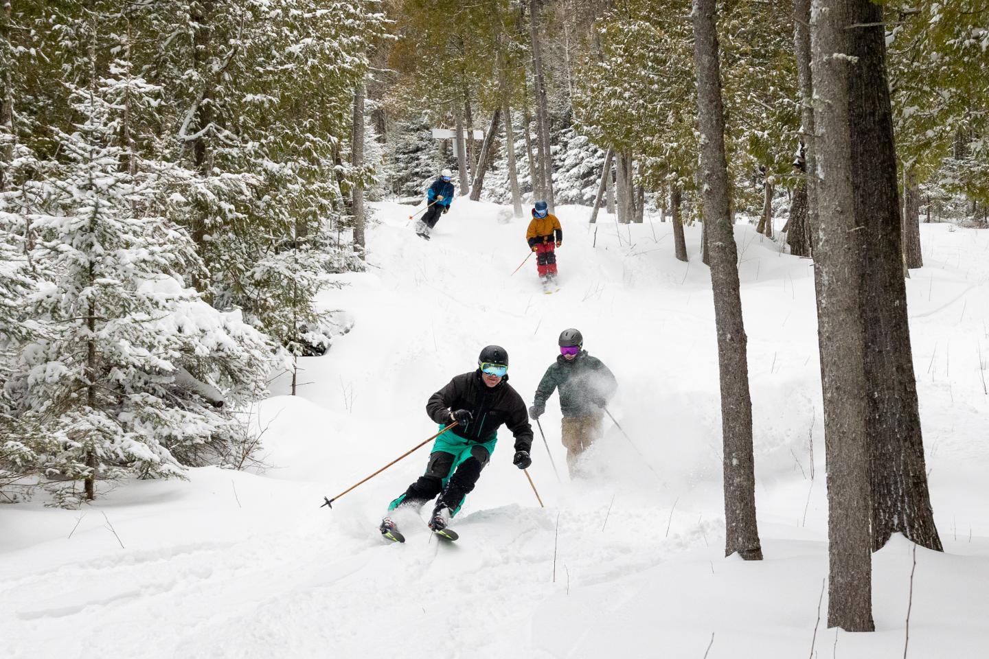 Four skiers descend a snowy forest trail, surrounded by trees.