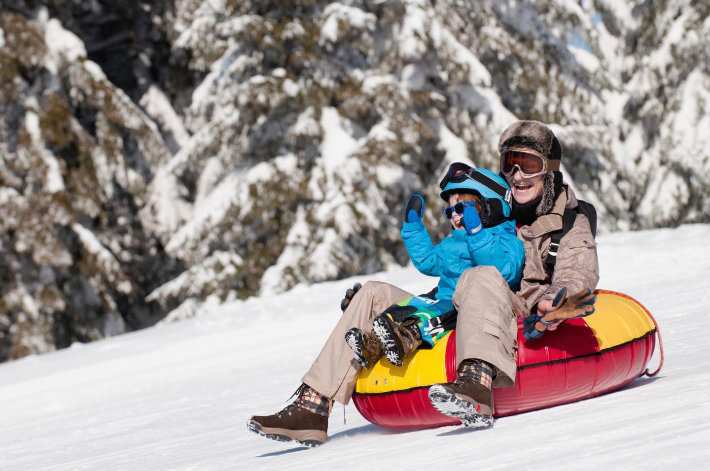 Two people tubing down a snowy hill, surrounded by pine trees.