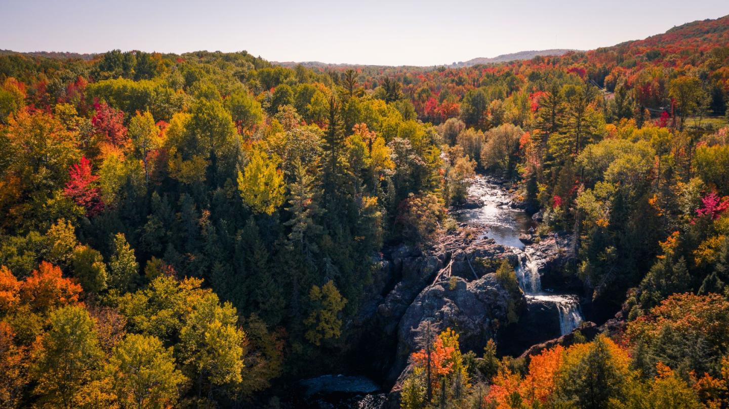 Aerial view of a forest with vibrant autumn foliage and a cascading waterfall.