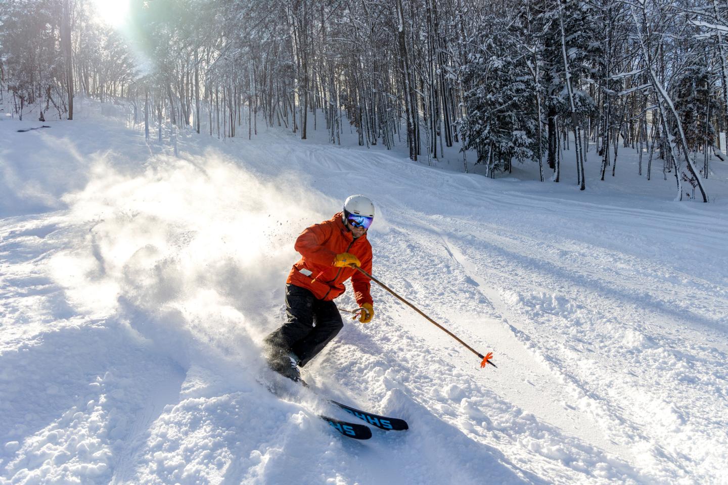 Skier in red jacket racing downhill, snowy forest backdrop.