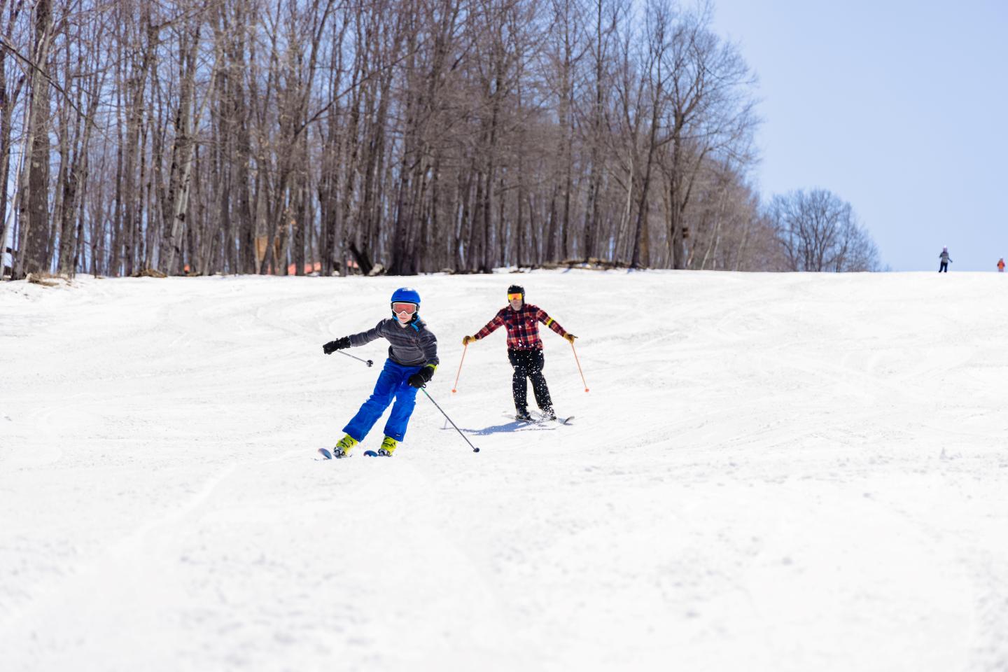 Two people skiing down a snowy slope on a clear day with trees in the background.