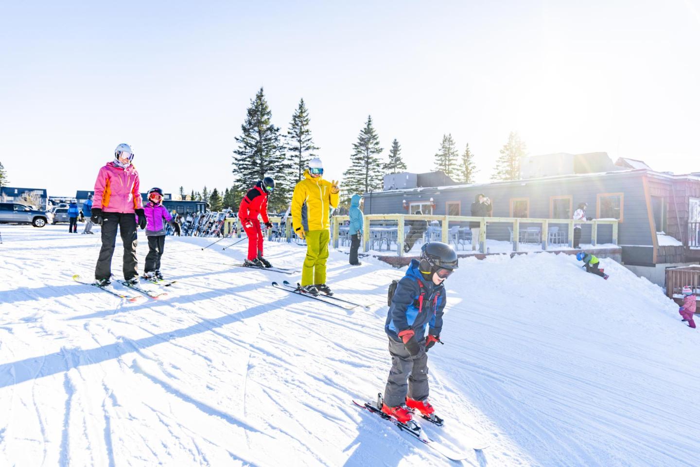 People skiing on a snowy slope, sunny day with pine trees in the background.