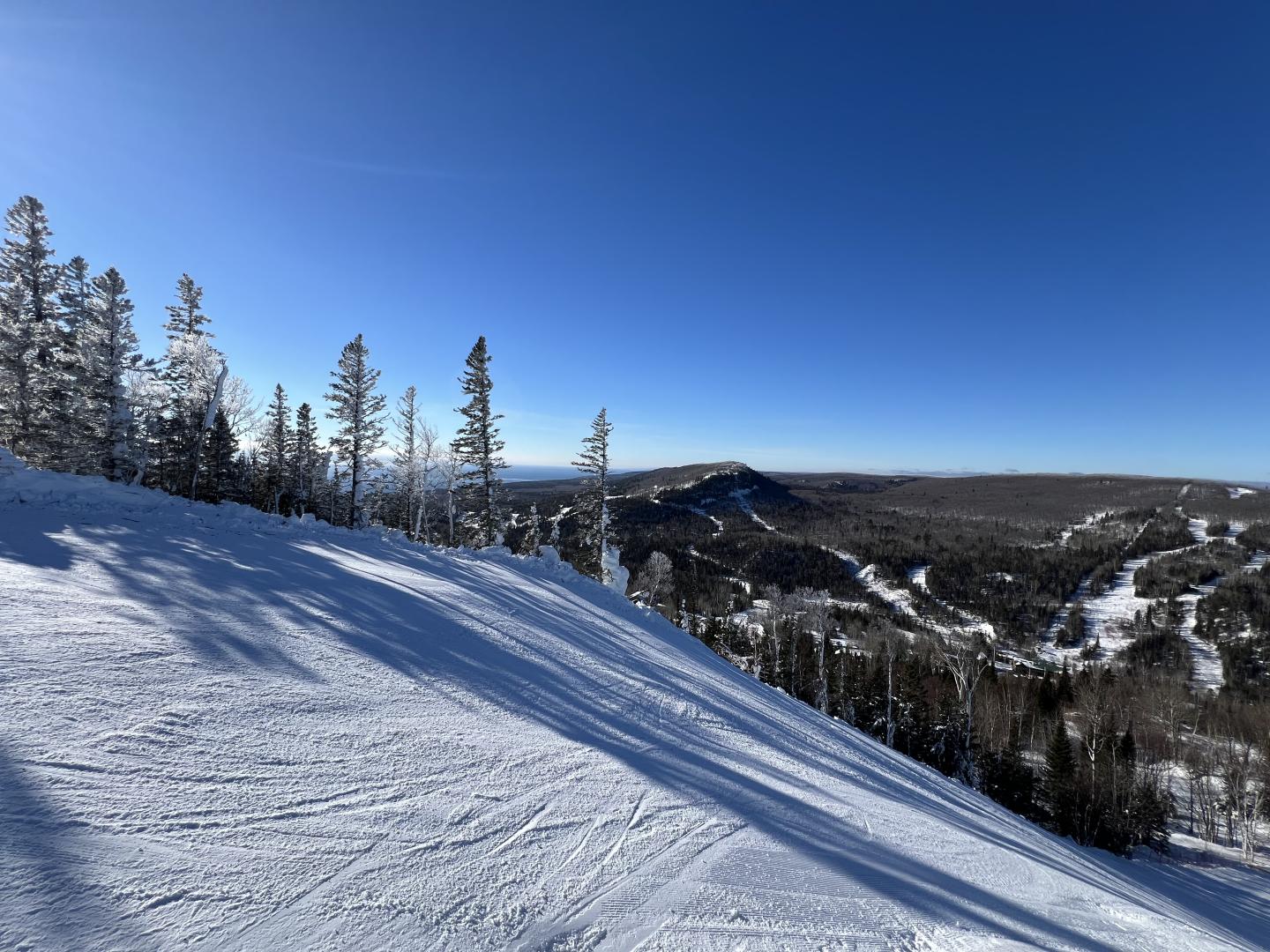 Snowy slope with trees on a clear, sunny day; a vast landscape in the distance.