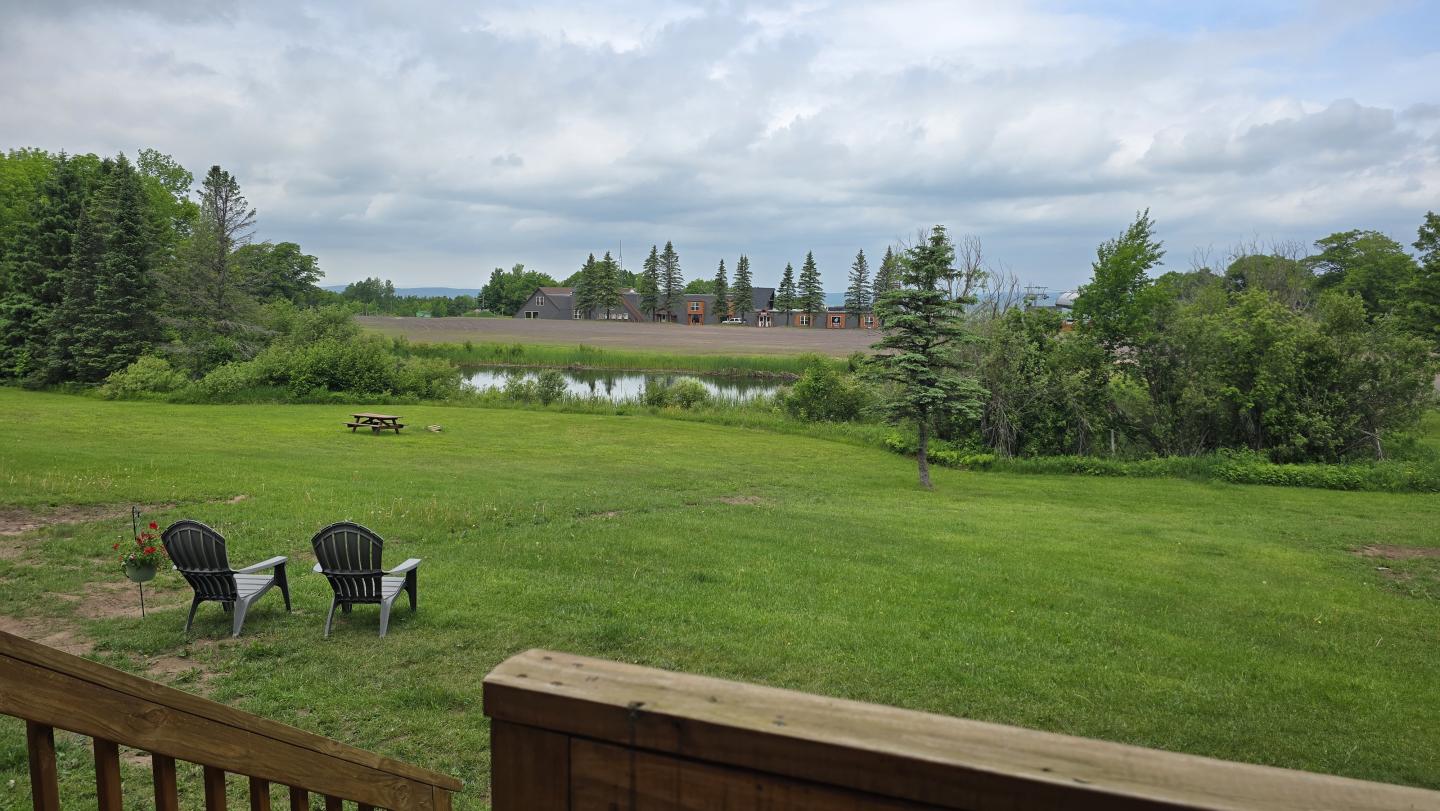 Two chairs on a grassy lawn overlooking a river and trees under a cloudy sky.