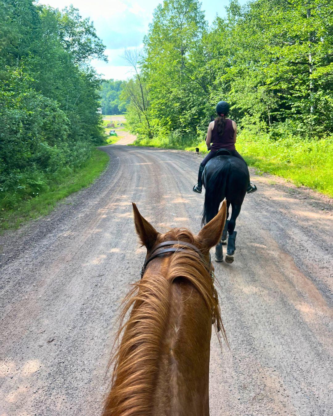 Riders on horses, following a dirt path surrounded by trees.
