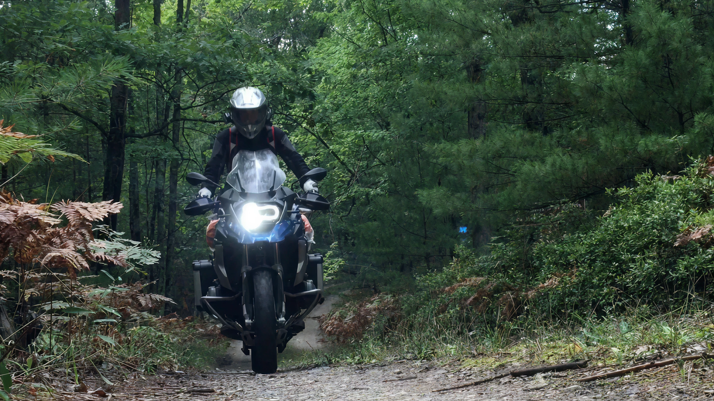 Motorcyclist riding through a lush forest trail.