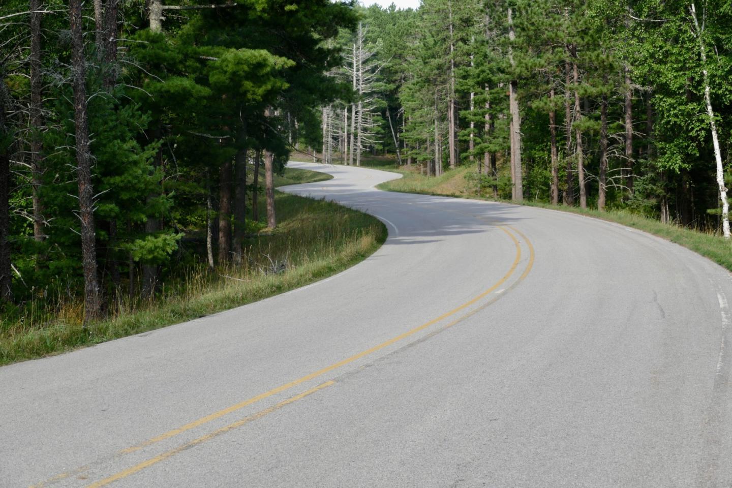 Winding road through lush, green forest.