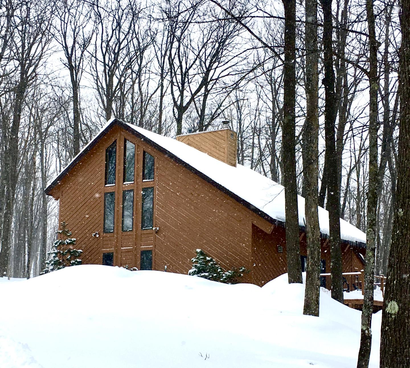 Brown cabin in snowy wooded area with tall trees.