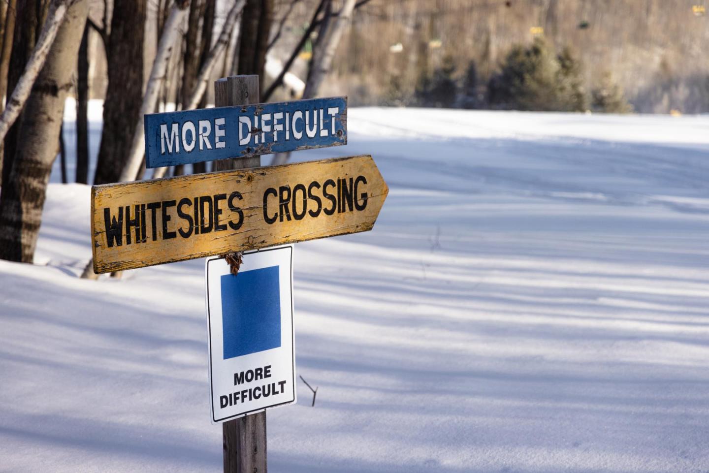 Trail signs in snowy landscape, trees in background.
