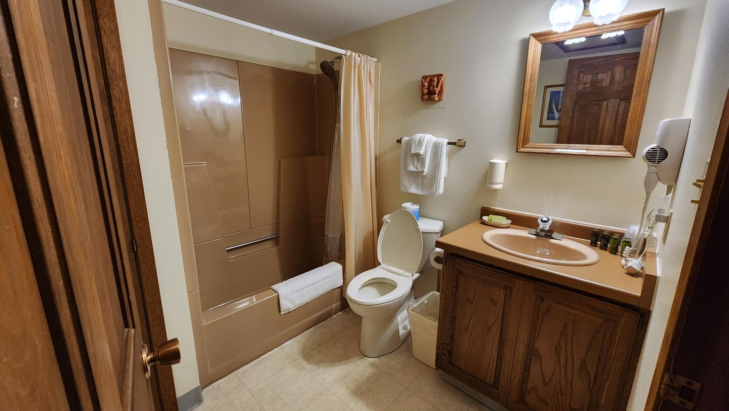 Hotel bathroom with shower, toilet, and vanity sink. Warm lighting and wood accents.