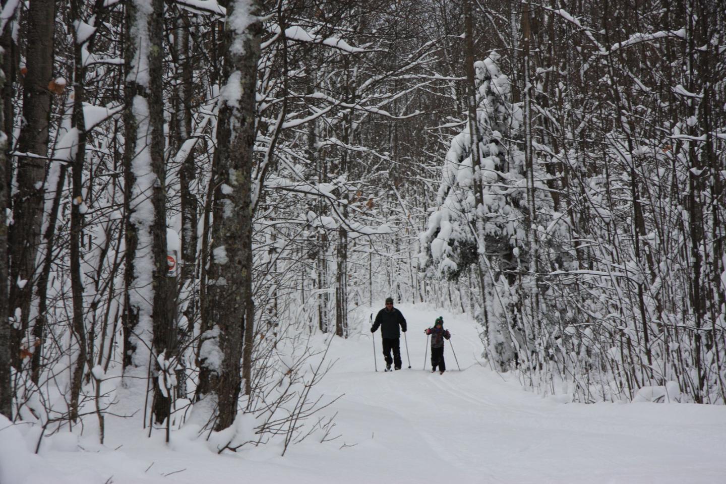 Two people cross-country skiing through a snowy forest trail.