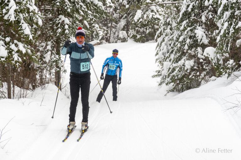 Skiers race through snowy forest trail.