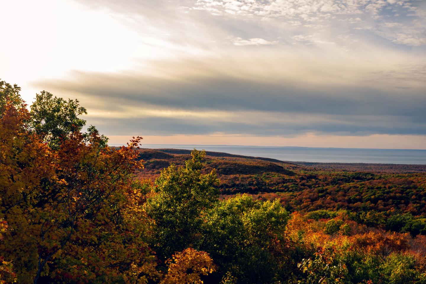 Autumn landscape with colorful trees under a cloudy sky.