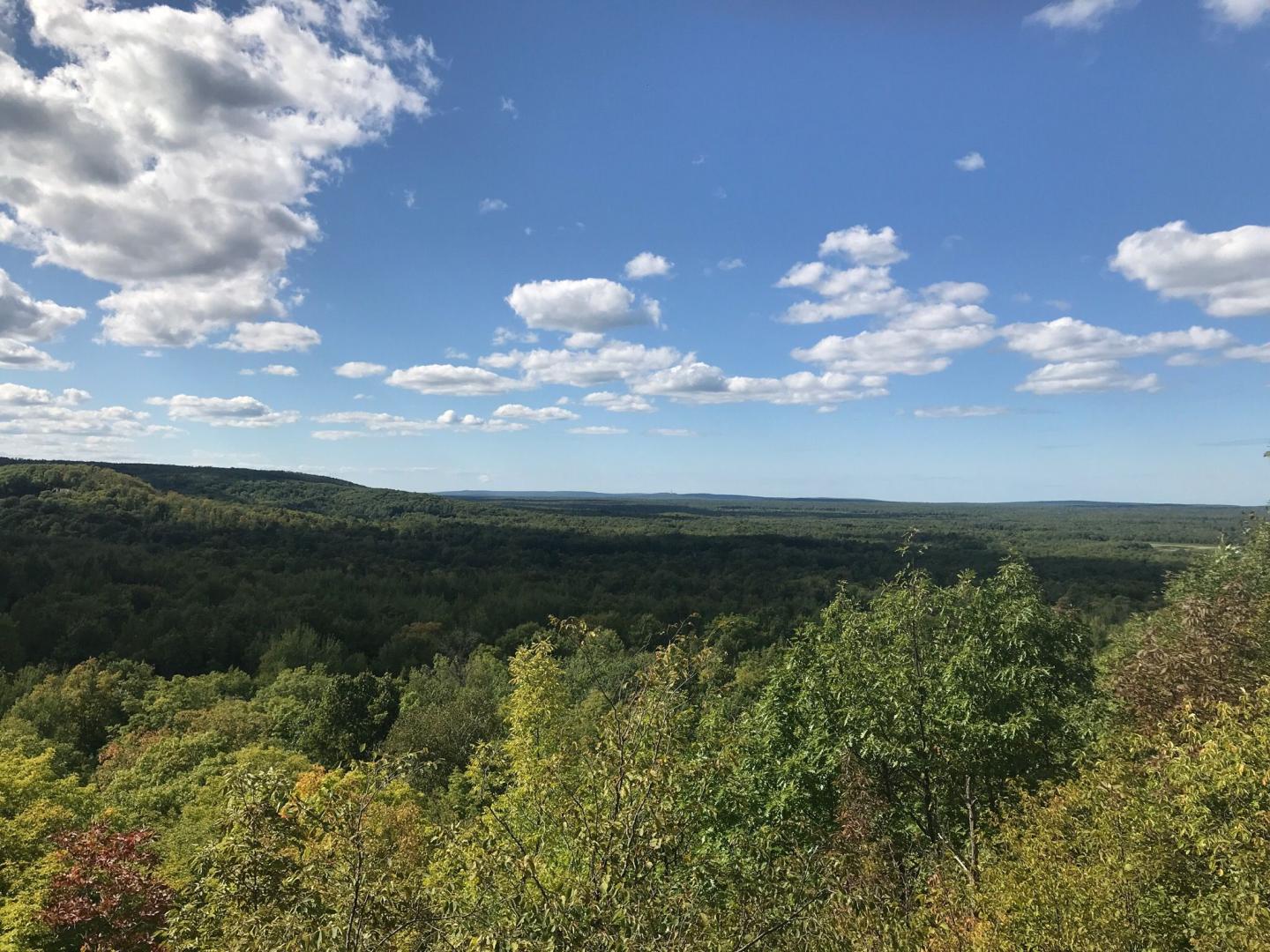 Forest landscape under a blue sky with scattered clouds.