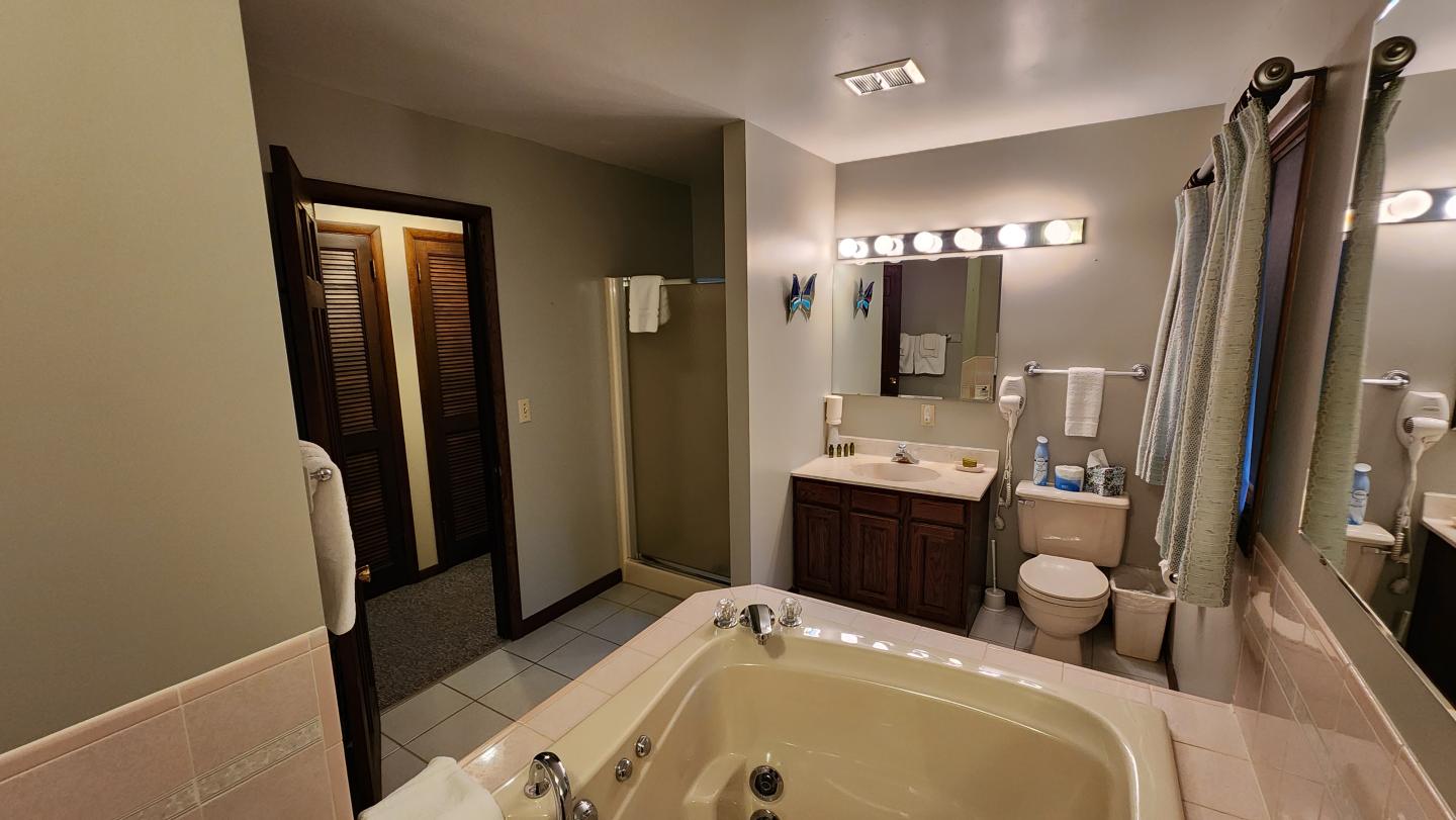 Spacious bathroom with bathtub, shower, and vanity under bright lights.