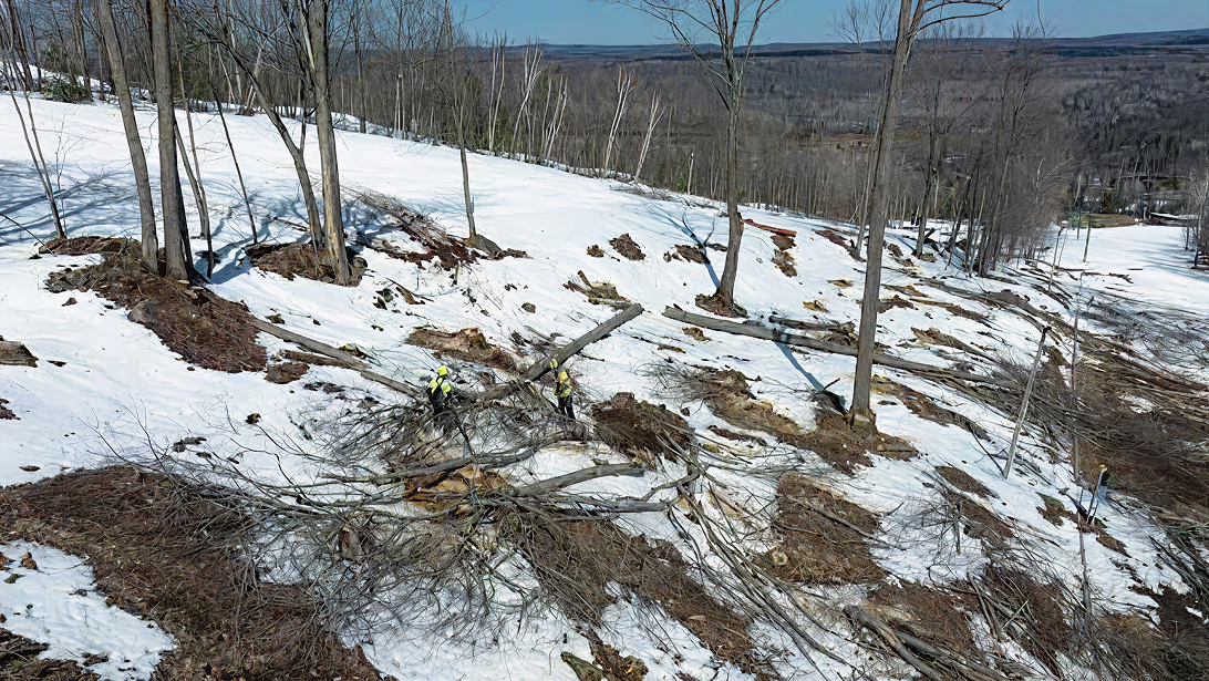 Snowy hillside with fallen trees and sparse snow patches.