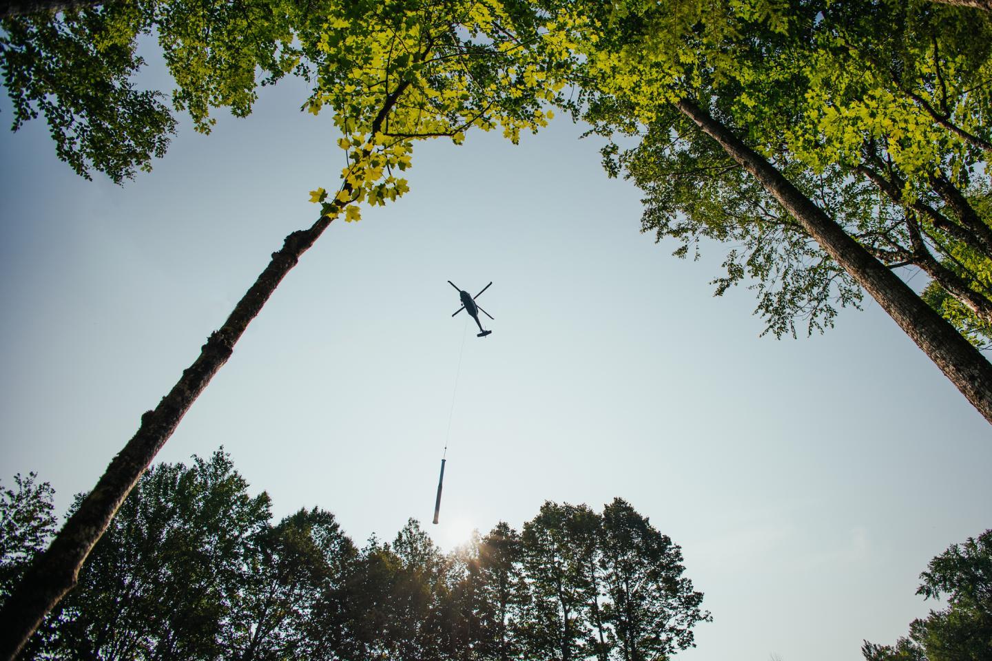 Helicopter above trees, sun shining through leaves.