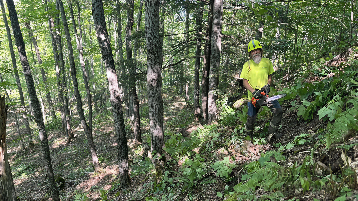 Person in yellow safety gear using a chainsaw in a lush, wooded area.
