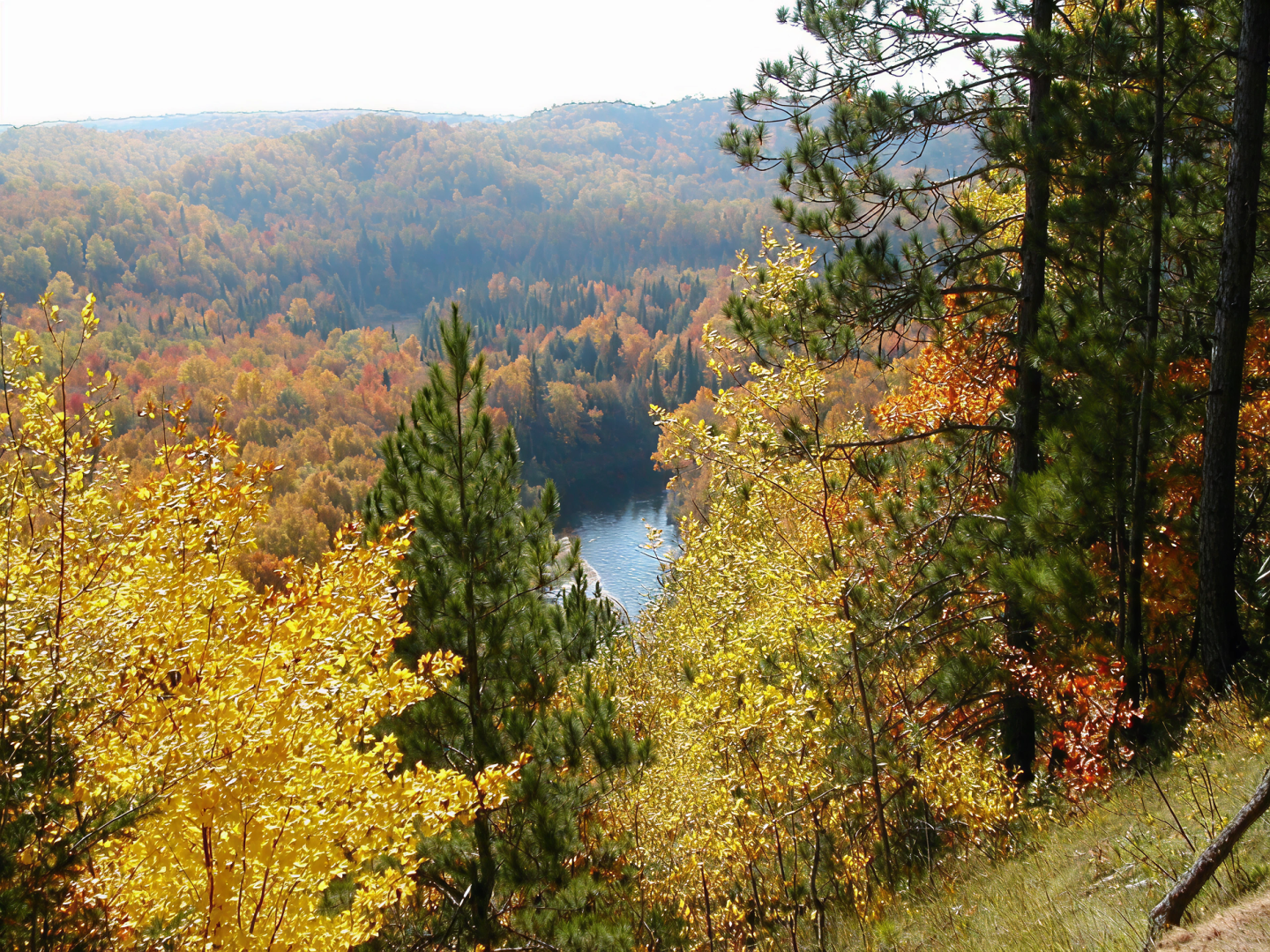 Autumn forest view with vibrant foliage and a small lake in the distance.