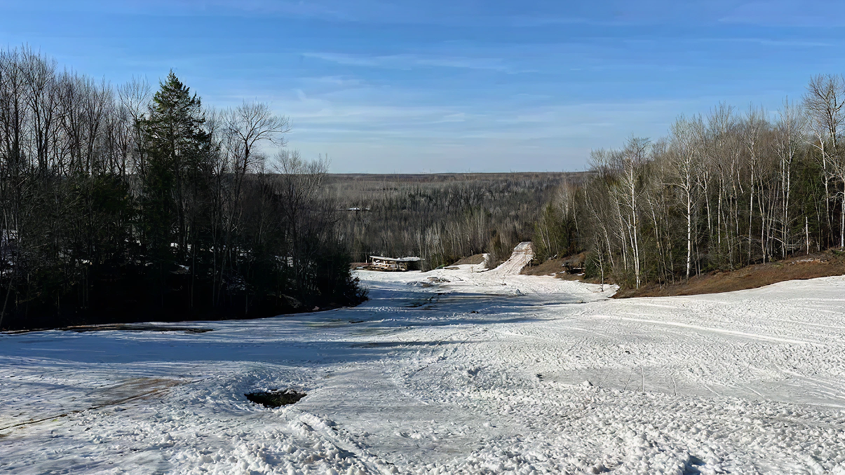 Snowy slope bordered by sparse trees under a clear blue sky.