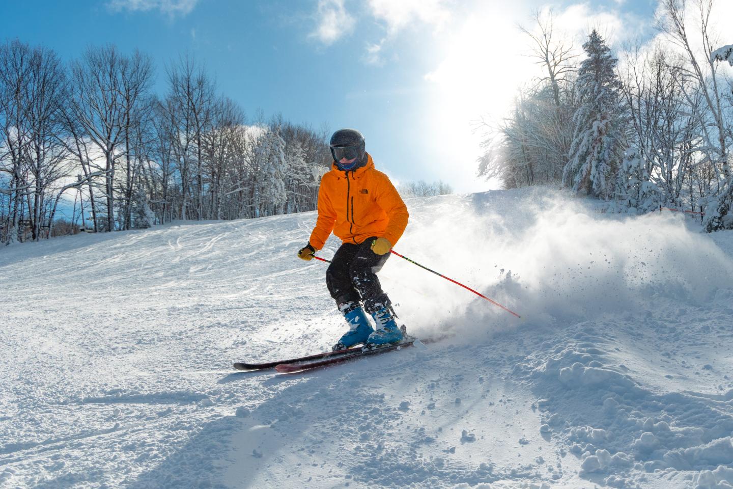 Skier in an orange jacket skiing downhill, bright sun and snow-covered trees in the background.