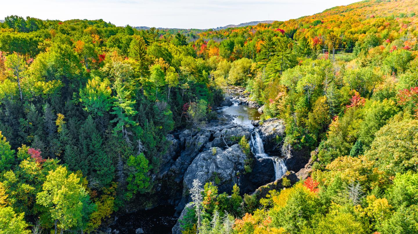 Waterfall cascading through a forest with vibrant autumn foliage.