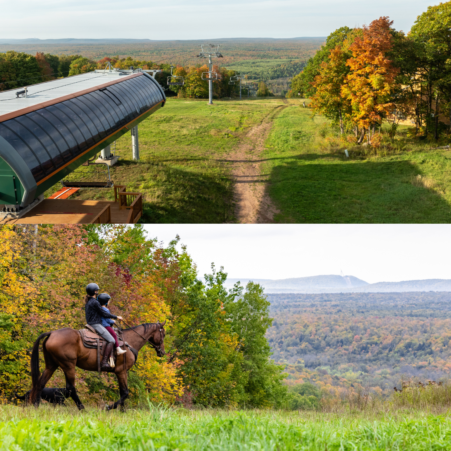 Split view: a ski lift and a person riding a horse in a colorful autumn landscape.