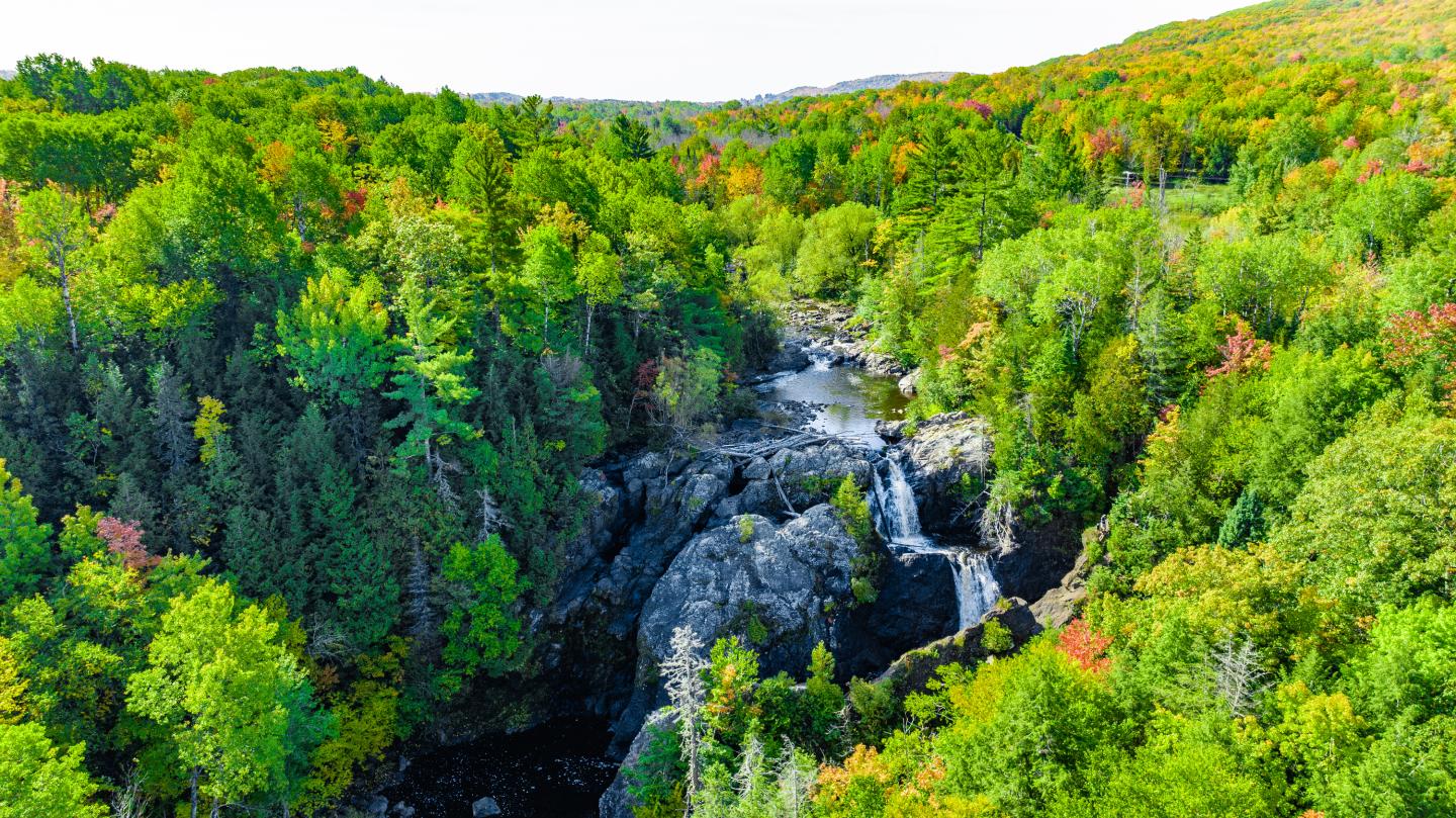 Waterfall amid lush green forest with rocky cliffs.