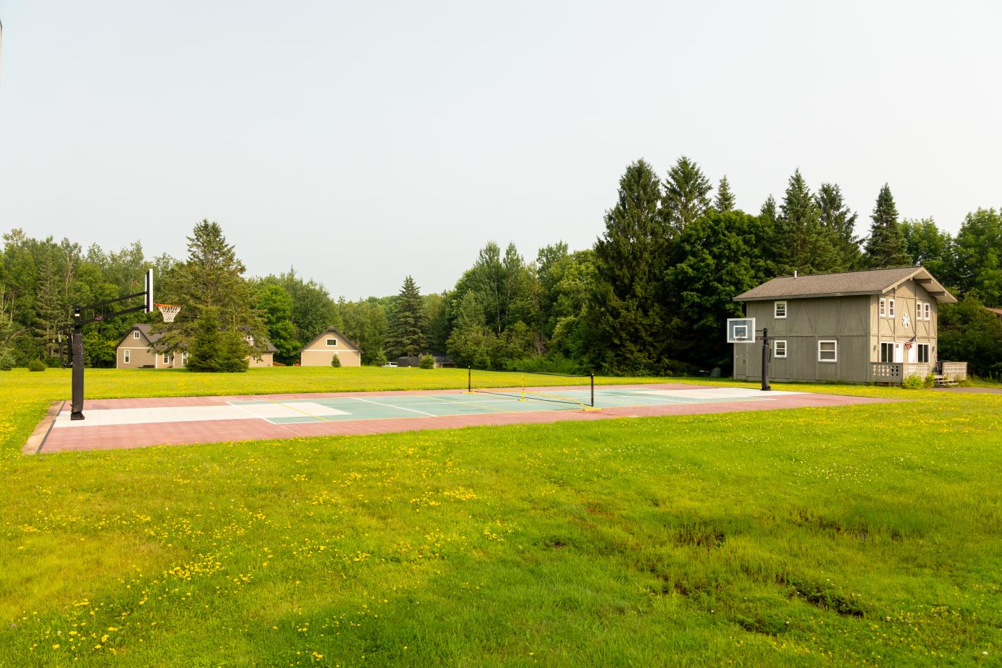 Pickleball court on grassy field next to houses and trees.