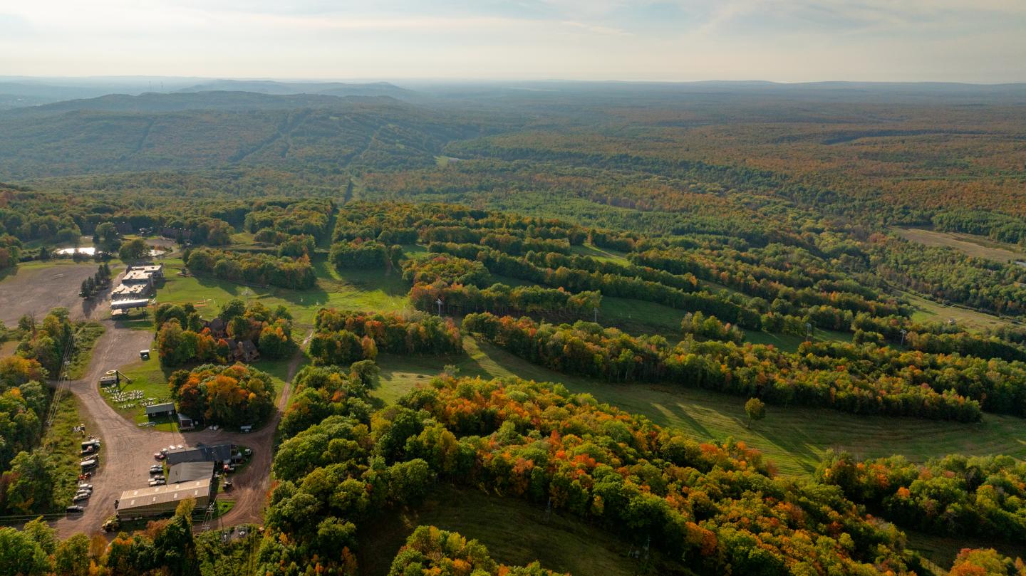 Aerial view of a forested landscape with winding roads and autumn foliage.