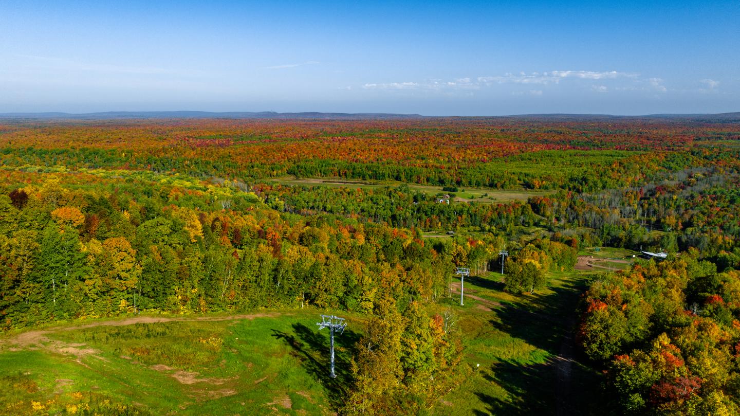 Aerial view of a vast autumn forest with colorful foliage.