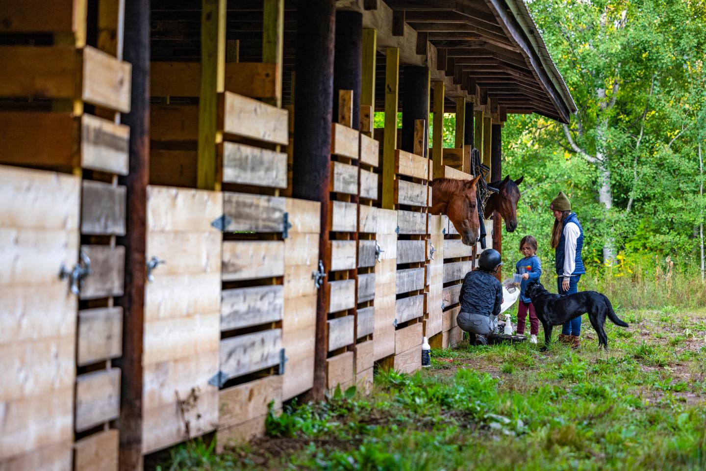 People near a stable with horses and a dog, surrounded by trees.