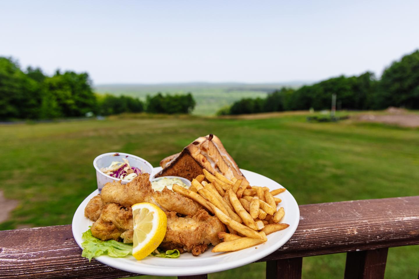 Plate of fish and chips with coleslaw, lemon, and toast on a scenic outdoor balcony.