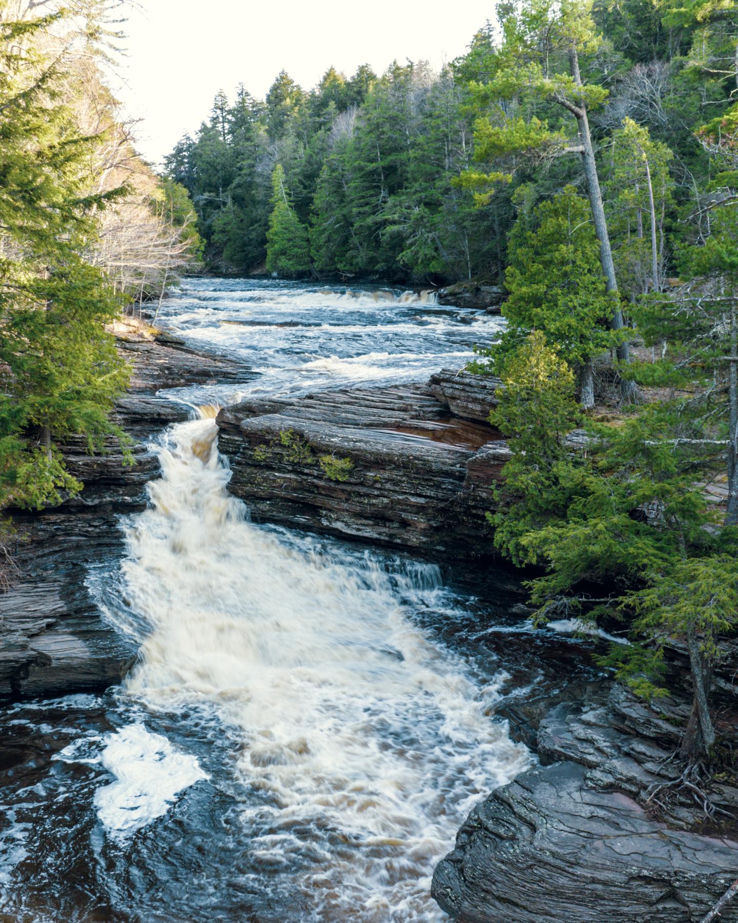 Waterfall cascading through a forest with lush green trees.