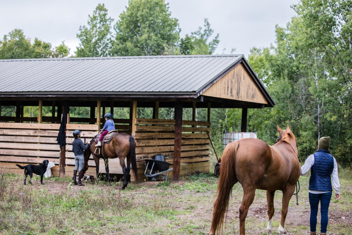 Stable with people, horses, and a dog in a rural setting.