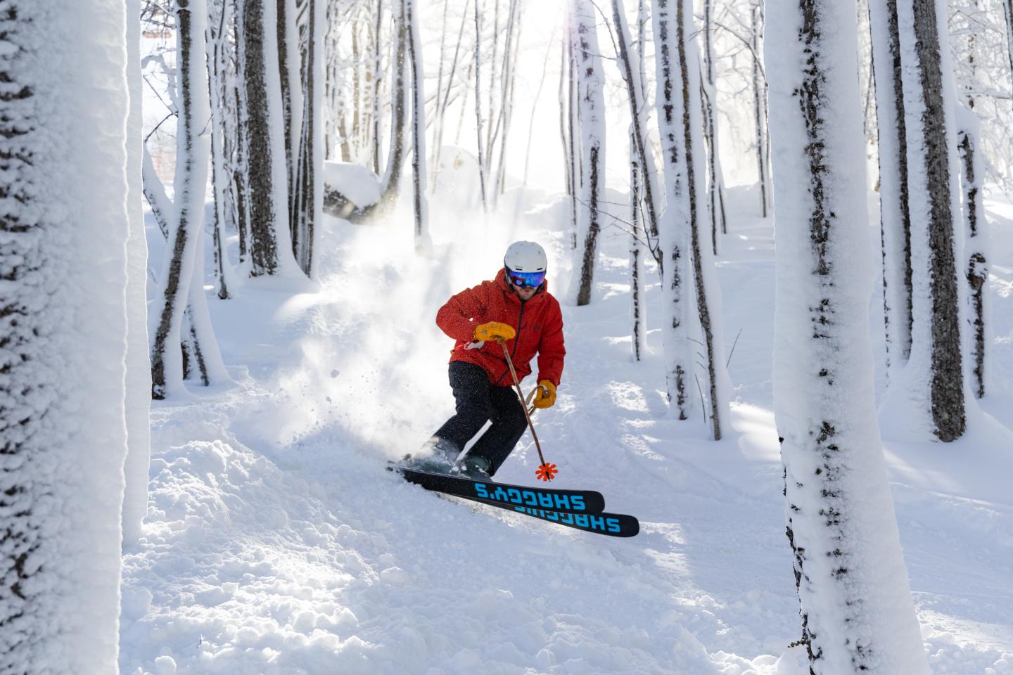 Skier in red jacket descends snowy forest slope.