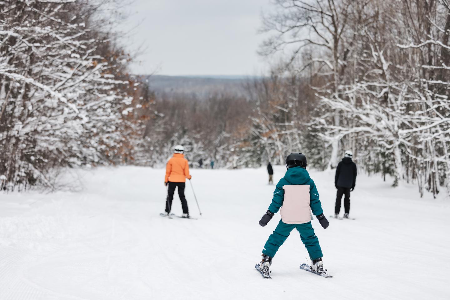 Skiers on a snowy trail surrounded by bare trees.
