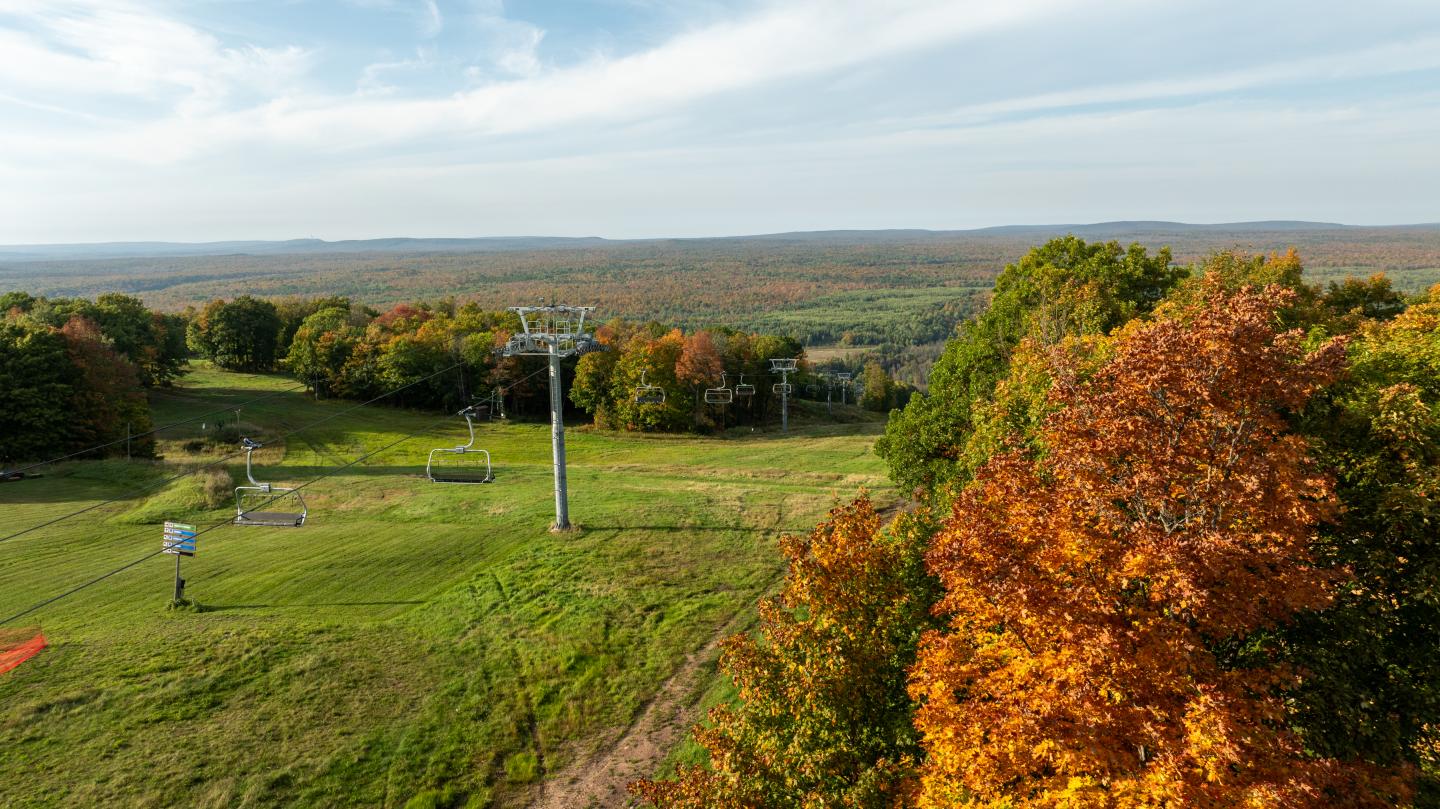 Autumn trees beside rolling green fields under a cloudy sky.