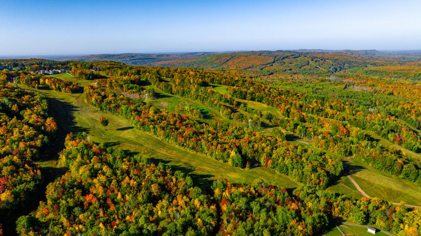 Aerial view of vibrant autumn forest with rolling hills and clear blue sky.